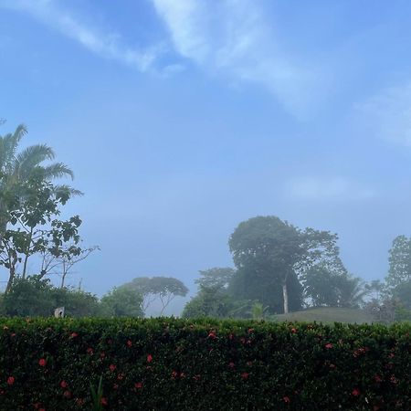 Valles Of Osa Palmar Sur Luaran gambar