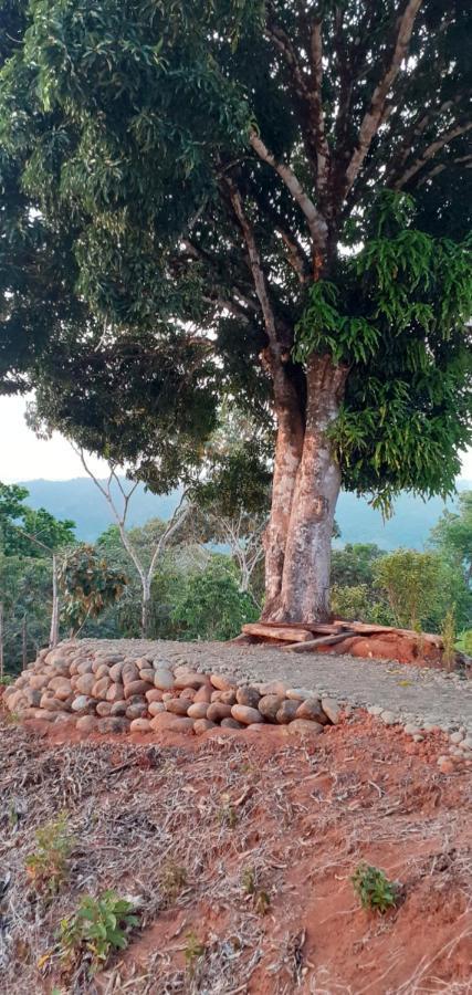 Valles Of Osa Palmar Sur Luaran gambar