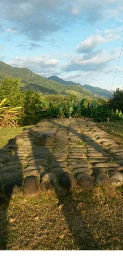 Valles Of Osa Palmar Sur Luaran gambar