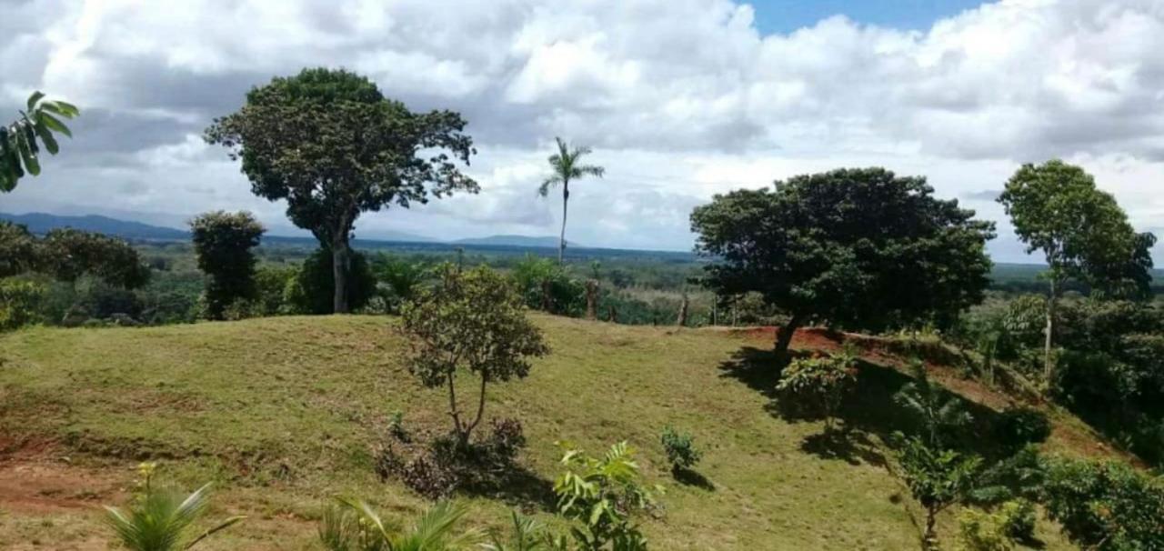 Valles Of Osa Palmar Sur Luaran gambar