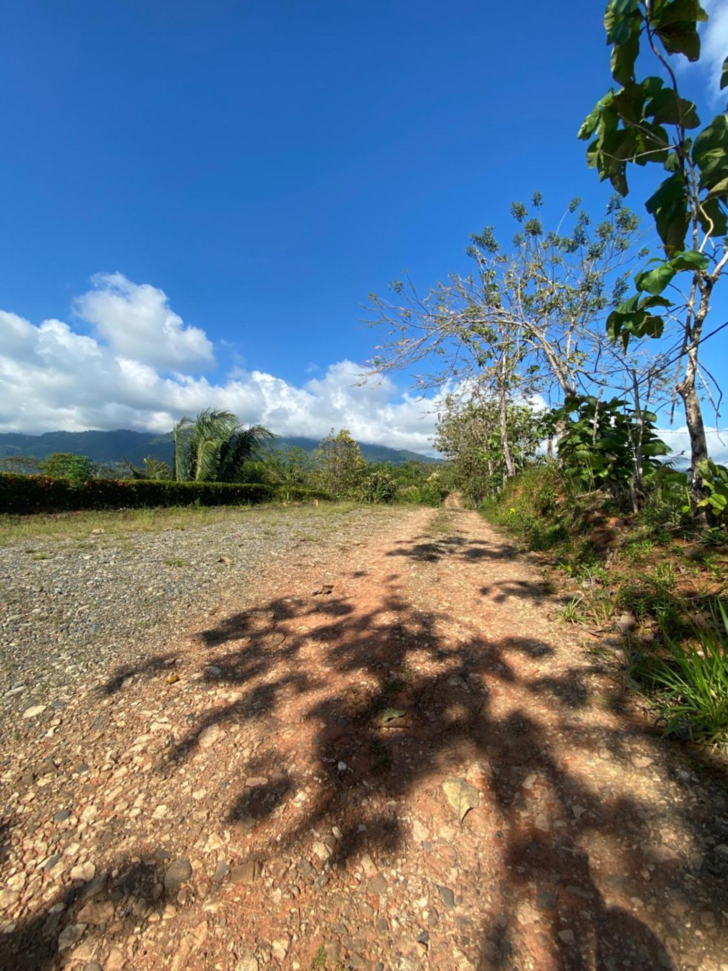 Valles Of Osa Palmar Sur Luaran gambar