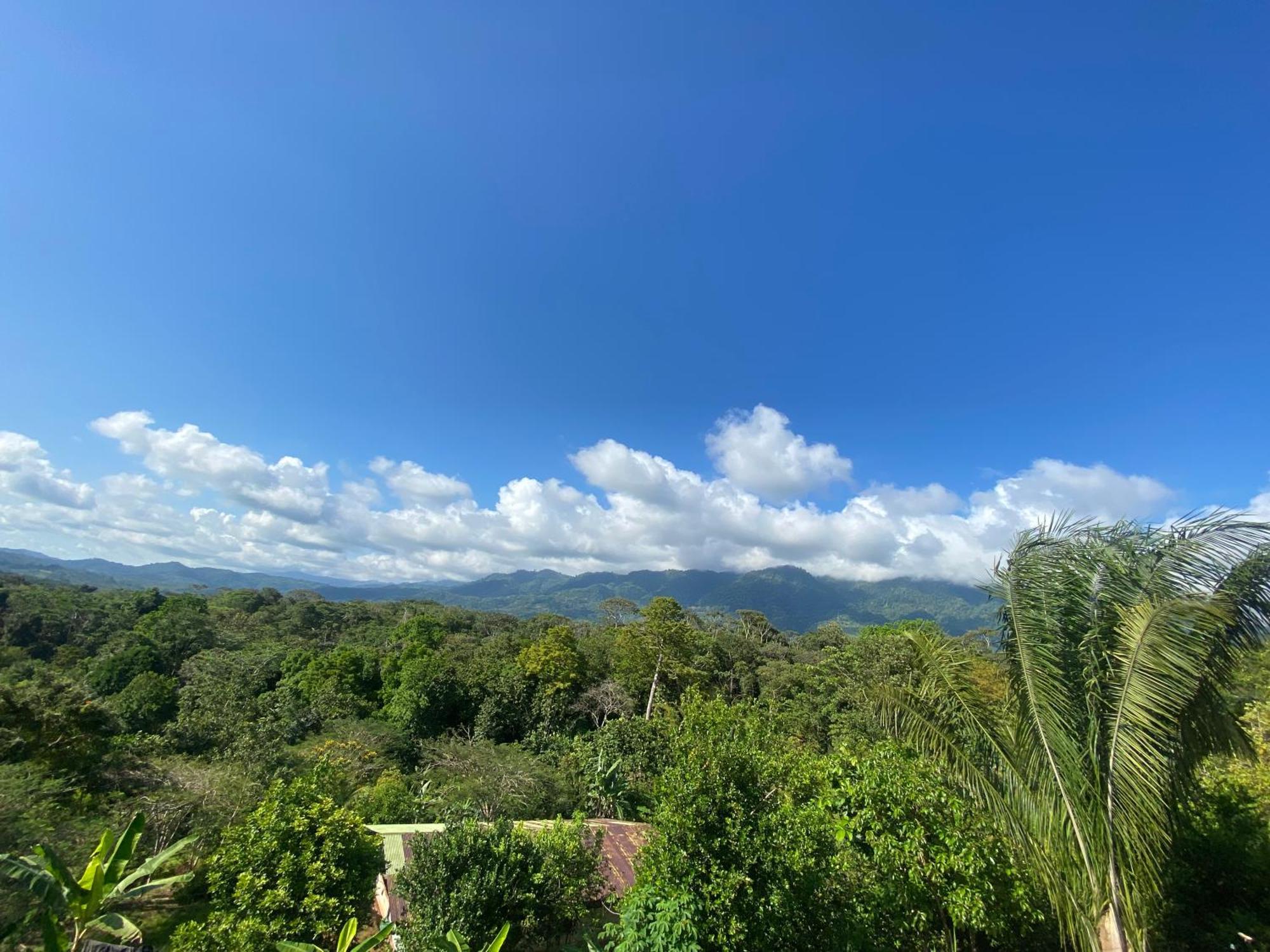 Valles Of Osa Palmar Sur Luaran gambar