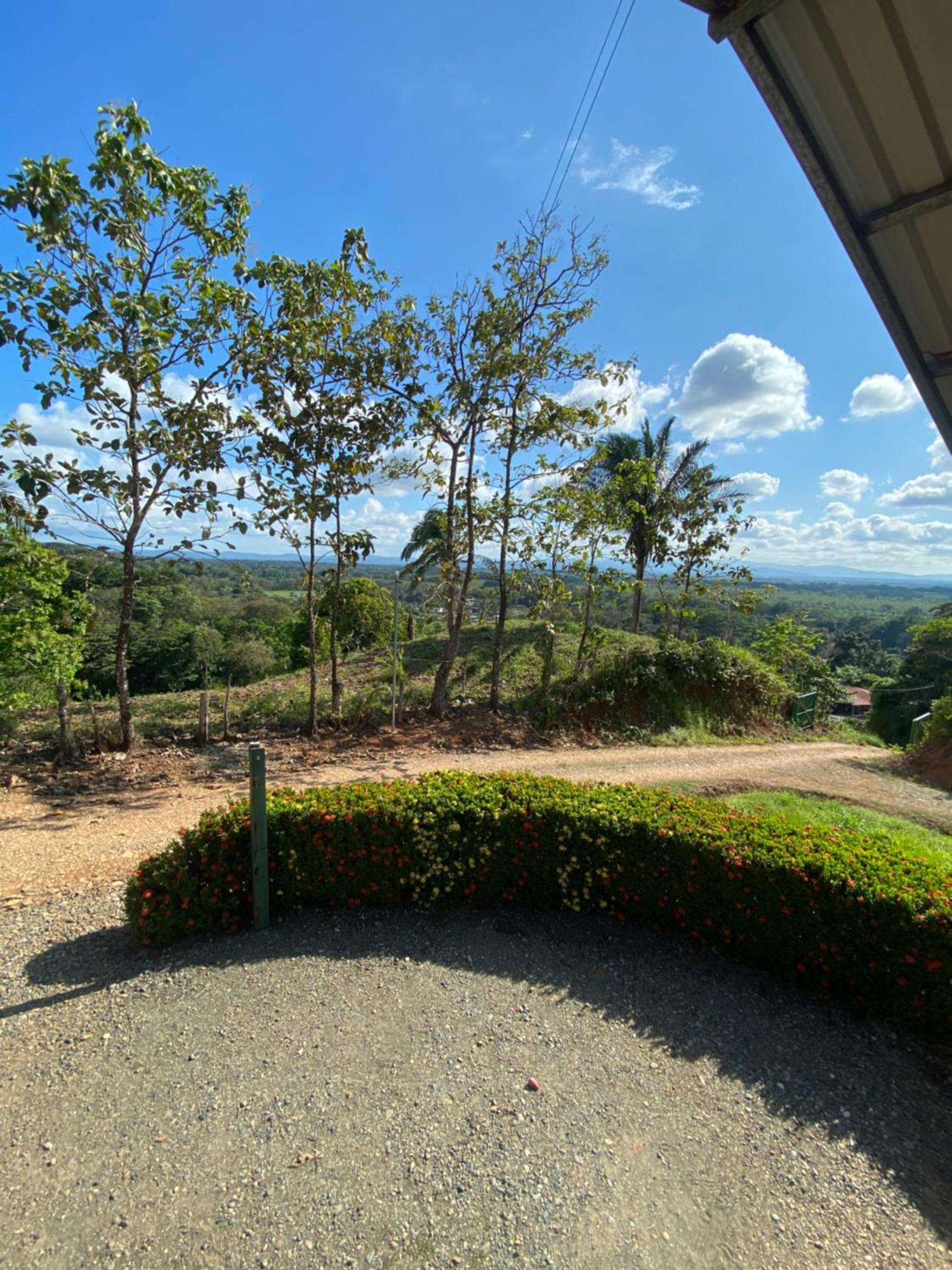 Valles Of Osa Palmar Sur Luaran gambar